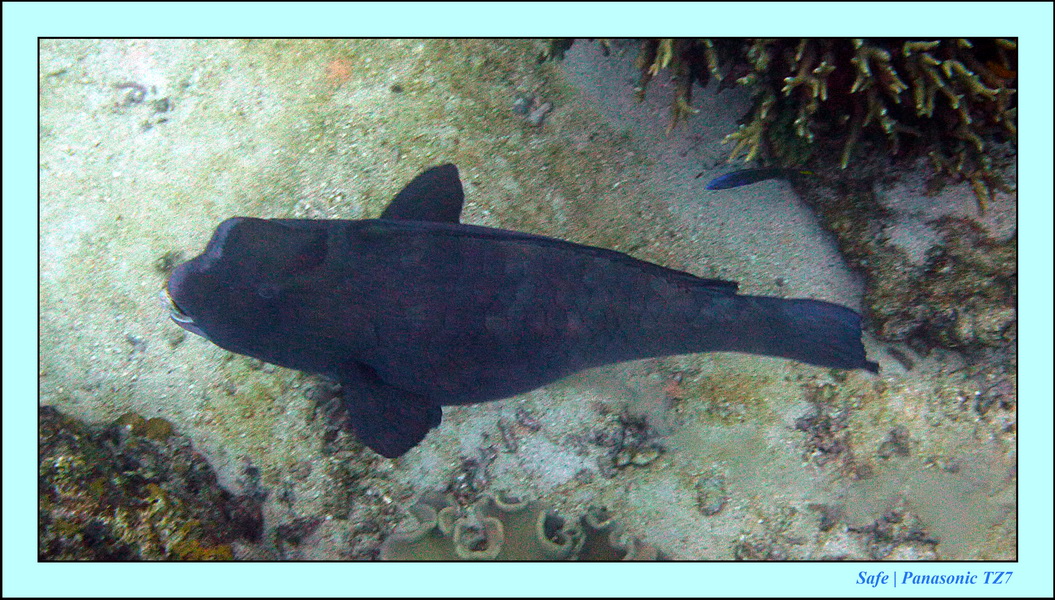 2012 - 07 - Apoh Island 35